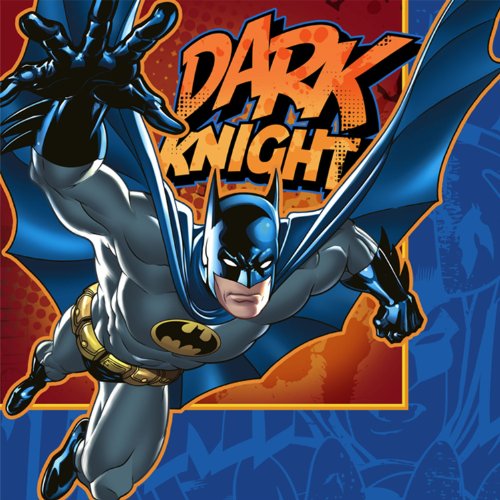 Hallmark Batman Heroes and Villains Lunch Napkins (16)