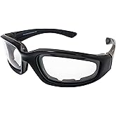 Birdz Eyewear Oriole Motorcycle Padded Glasses Black Frame w/Clear Lens Anti Fog Foam Padded Entirely Inside of the Glasses