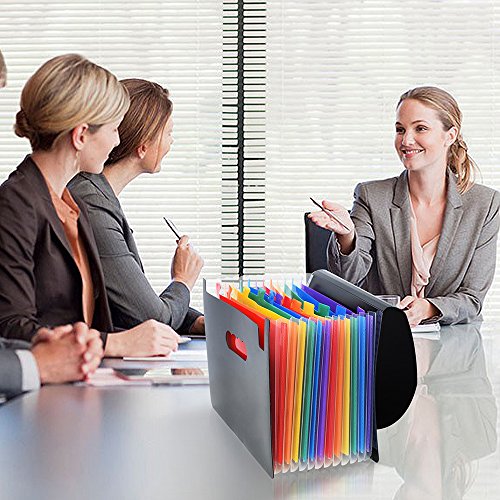 Adaone 12 Pockets Expanding File Folders, Portable Accordion A4 Expandable File Organizer, Large Capacity Multicolour Stand Plastic Business File Box (12 Pockets Multicolor)