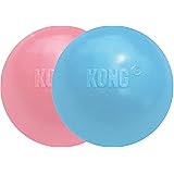 kong frisbee amazon