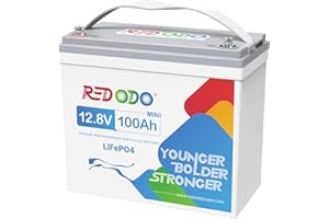 Redodo 12V 100Ah Mini LiFePO4 Battery, Smallest Lithium Battery with Upgraded 100A BMS, Max 1280Wh, Up to 15000 Deep Cycles Battery with 10 Years Lifetime for RV, Trolling Motor, Solar Home, Camping