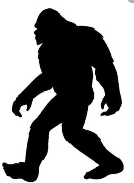 Amazon.com: Bigfoot (Sasquatch) Reusable Stencil for Painting on Wood