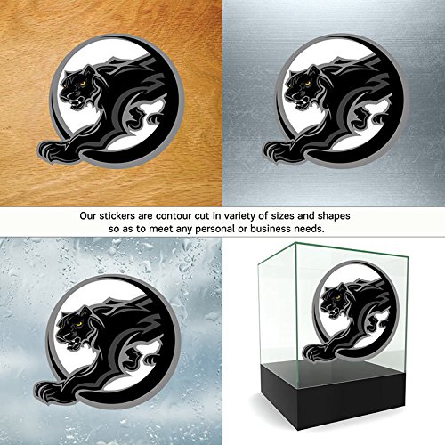 black panther bike 16