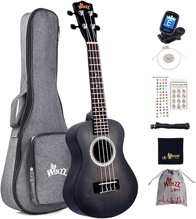 Winzz Ukulele Concert 23 Inch Brown Beginner Kit for Adults Children
