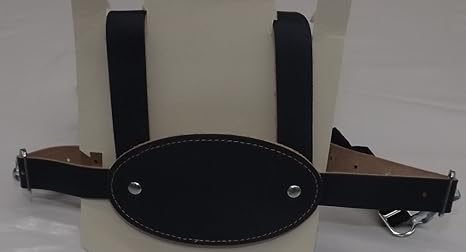 wilson coach built prams