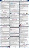 2017 Oregon State and Federal Labor Law Poster - Laminated 24