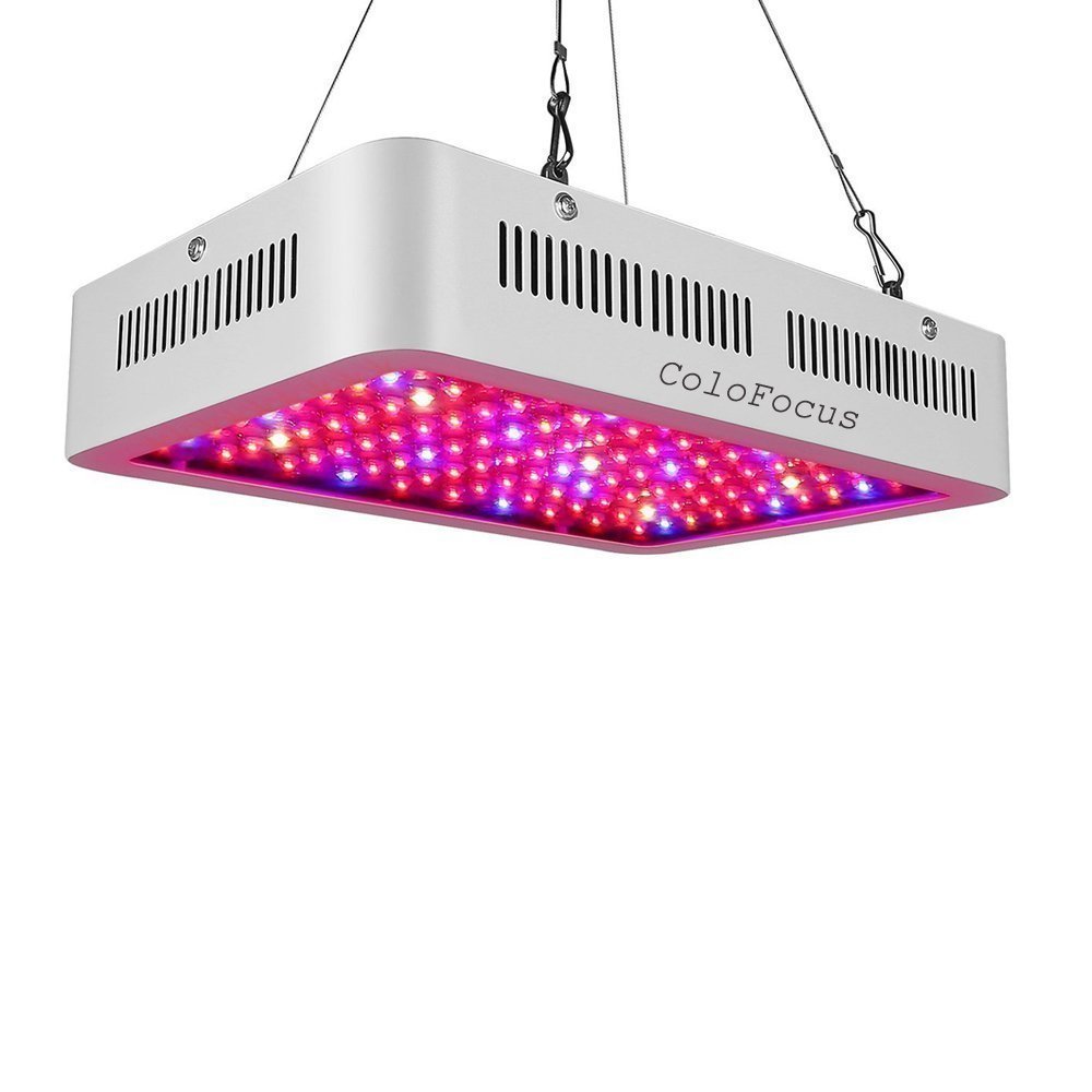 Colo Focus 1000w double chips indoor LED grow light