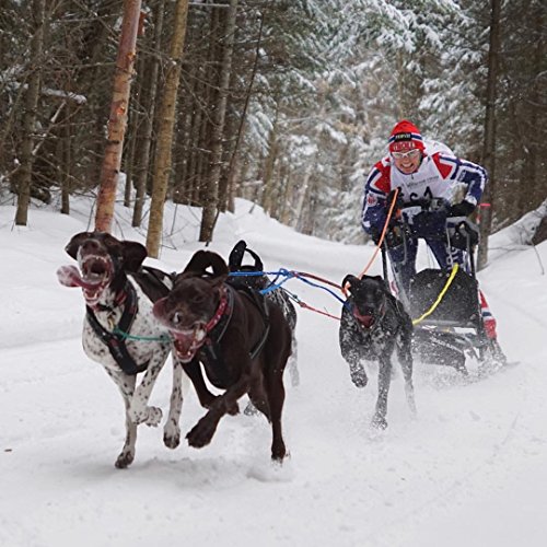 Non-stop dogwear X Back Harness for Pulling, Sledding, Canicross, Bikejoring & Mushing (9.5) - Thumbnail 3