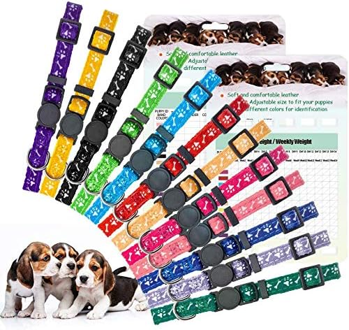 collars for litter of puppies
