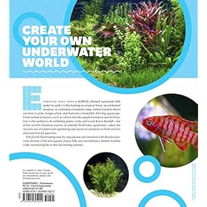 Sunken Gardens: A Step-by-Step Guide to Planting Freshwater Aquariums
