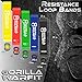 Home Workout Kit Resistance Loop Bands and Exercise Sliders Set with Bonus Jump Rope 2 Gliding Disks Core Sliders 5 Exercise Resistance Bands 1 Metal Bearings Speed Rope E-Book Included