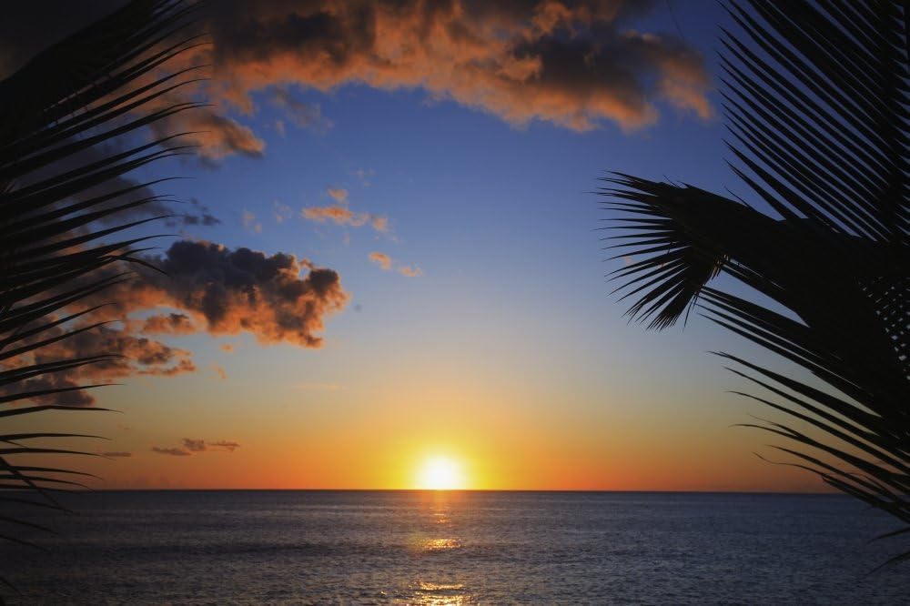 Amazon Com Posterazzi Dpi Hawaii Oahu Beautiful Sunset Over The Ocean Poster Print 17 X 11 Posters Prints Amazon Com Posterazzi Dpi Hawaii Oahu Beautiful Sunset Over The Ocean Poster Print 17 X 11 Posters Prints