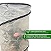 Green Valley Supply Pop-up Plant Cover, Protector, Tomato Accelerator (18