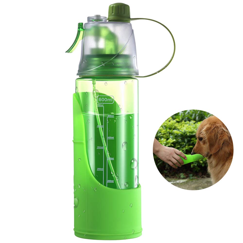 spray dog with water bottle