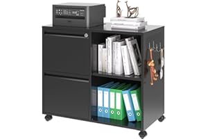 AFAIF Lateral File Cabinet, 2 Drawer File Cabinet with Lock, Printer Cabinet Printer Stand with Storage, Metal Mobile Filing Cabinet Home Office Organization Furniture for Letter/A4 Size Files