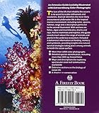 Image de Reef Life: A Guide to Tropical Marine Life