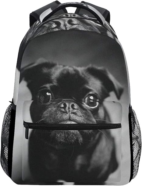 pug backpack amazon