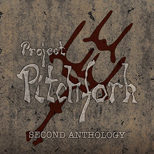 Project Pitchfork - What Have We Done (Remix) Lyrics - Zortam Music