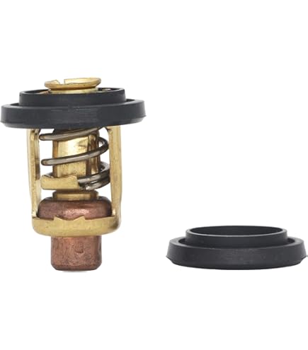 Amazon.com: Ski-Doo OEM Thermostat GSX GTX MXZ Skandic Summit