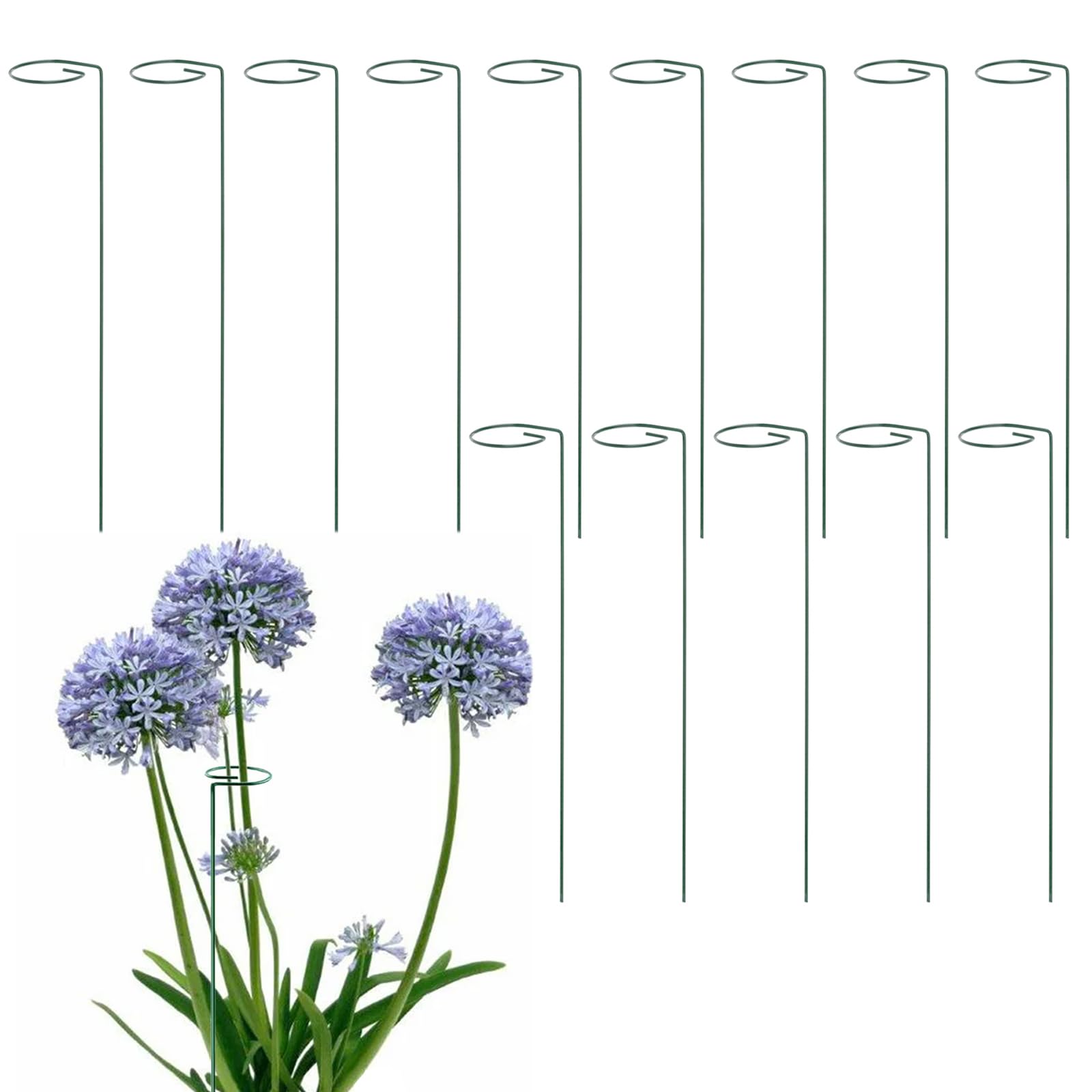 CHUIFAI 14-Pack 40 cm Garden Plant Support Small Shrub Holder, Steel Single Stem Support Ring, Green
