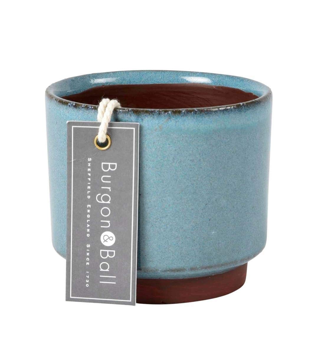 Burgon & Ball Indoor Malibu Succulent Planter Plant Pot, Blue