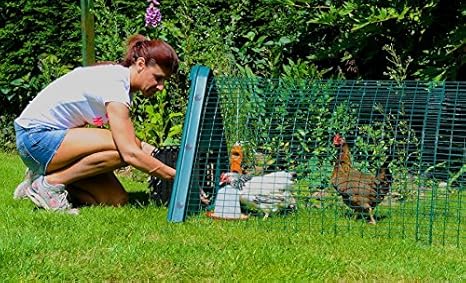 Cosy Coop Poulailler En Plastique Avec Couloir De Promenade En