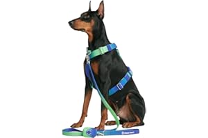 Spark Paws Large Dog No-Pull Harness, Halter Design with Front Clip, Durable and Heavy-Duty for Big and Strong Breeds - Lime Wave - S