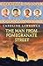 The Man from Pomegranate Street (The Roman Mysteries)
