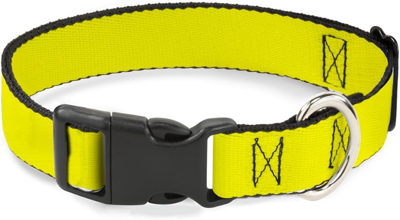 neon yellow dog collar