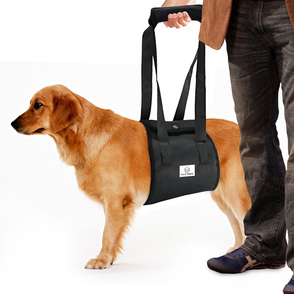 Dog Lift Harness Sling ACL Brace for Rear Leg Support of XL Old Dogs Help Em 658301656121 eBay Dog Lift Harness Sling ACL Brace for Rear Leg Support of XL Old Dogs Help Em 658301656121 eBay