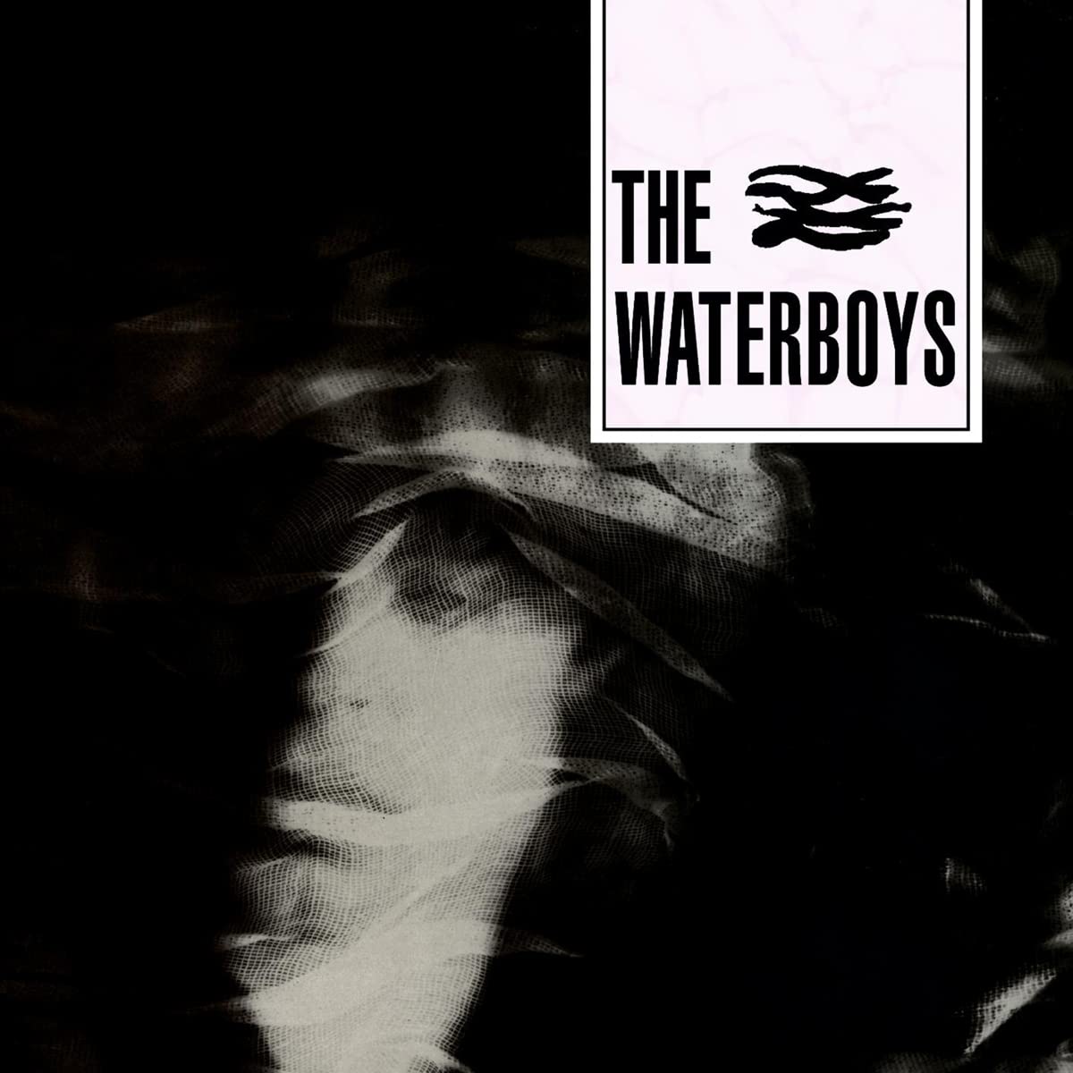 The Waterboys [VINYL]