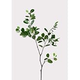 Radial Fake Italian Ficus Branch - 38"