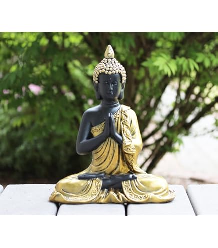 Amazon.com: Turtle King Buddha Set of 3 Statue Good Luck