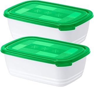 Rotho Freeze 2er-Set Tiefkühldosen 1.9 l, Kunststoff (BPA-frei), grün/weiss, 2 x 1,9 Liter (23,4 x 16 x 10 cm)