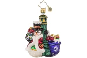 Christopher Radko Hand-Crafted European Glass Christmas Tree Ornament Decoration, Swinging in The Rain Gem