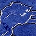 Fabrique Innovations NFL Pillow Pet , Detroit Lions, Large