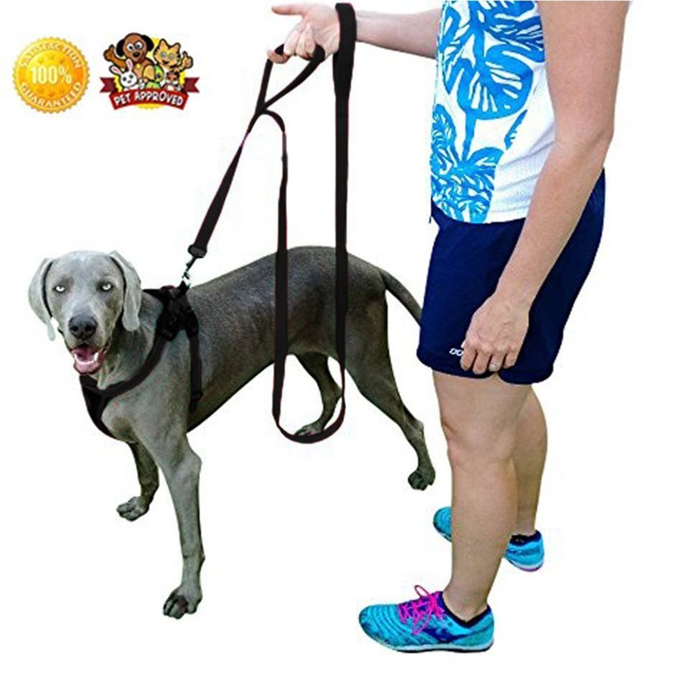 Q Global Dog Leash Pet Supplies for Dogs Leashes Dog Leash 2