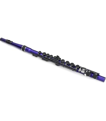 Amazon.com: Nuvo Student Flute Kit - Black : Musical Instruments