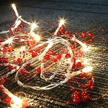 Leideur String Lights Red Berry Garland Lighted Berry-Beaded Garland Battery Operated 3 Modes 20 LED Holiday Indoor Christmas Decorations Lights 9.8ft(Light Color:Warm White) (Red)