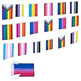 ZXvZYT Pride Rainbow Flags Banner String Set,Small Mini Rainbow Gay LGBT Pennant Flag For Rainbow Party Festival Decorations
