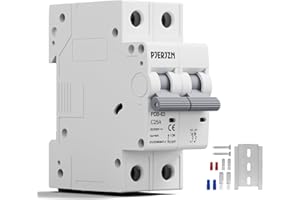Pjerjzn 25Amps Solar Circuit Breaker 2P 550VDC Miniature Circuit Breaker Solar DIN Rail Mount Thermal Magnetic Trip Solar PV Isolator Solar Panel for Photovoltaic Systems