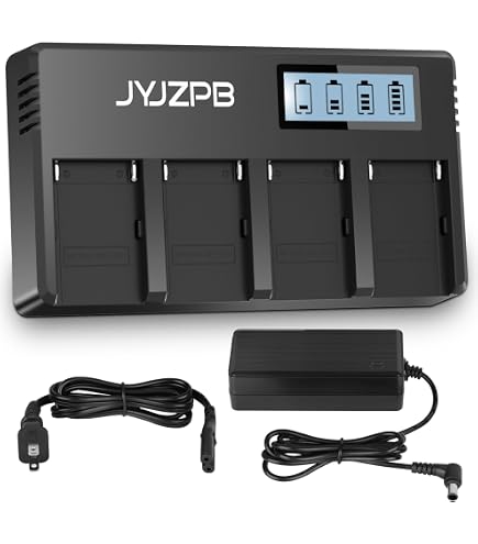DSTE Fast Charging Dual LCD Batterie Chargeur pour Sony NP-FM55H NP