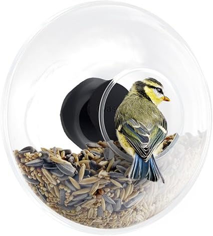 Amazon Com Eva Solo 571048 0 Window Bird Feeder Globe 90 Ml