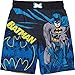 Superhero Little Boys' 2 Piece UPF 50 Rashguard Swim Trunk Set, Batman, 2T