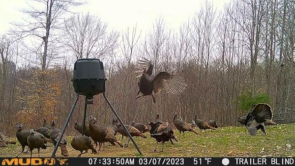 MUDDY MITIGATOR CELLULAR 24MP IMAGING TRAIL CAMERA WITH 80 FEET DETECTION AND FLASH RANGE AND 0.7-SECOND TRIGGER SPEED