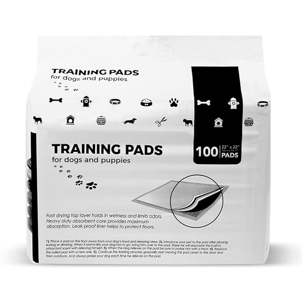 BV PUPPY PADS LEAK-PROOF 100 COUNT 22″X 22″ – ABSORBENT PEE PADS FOR DOGS WITH 6-LAYER DESIGN, RAPID DRY SHEET & BUILT-IN ATTRACTANT – DOG PAD WITH ODOR CONTROL, PERFECT FOR PUPPIES & SENIOR DOGS