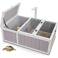 tortoise starter kit amazon