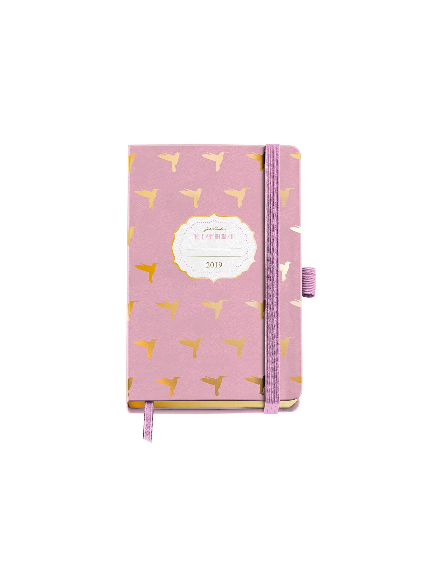 Jordi Labanda 31465 – Year Diary 2019