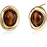 Teppdfann Tiger Eye Stud Earrings 14K Gold Plated Vintage Brown Gemstone Earrings with Oval Tiger Eye Jewelry in Irregular Circular Frame for Women