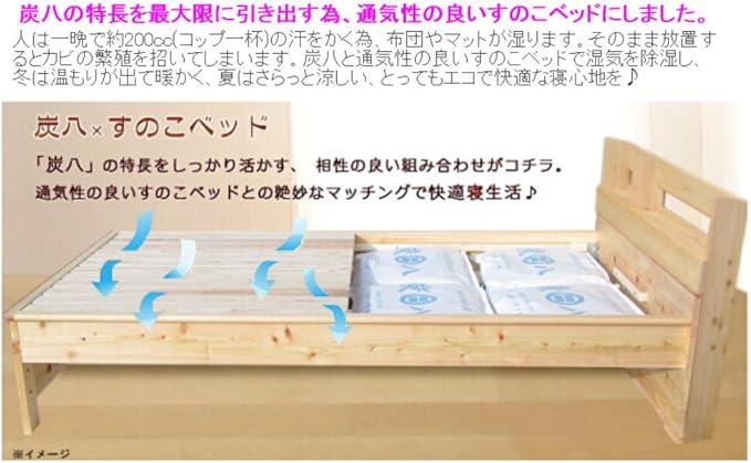 寄生虫 ズーム 必要としている 炭 八 ベッド Sanei 0419 Jp 寄生虫 ズーム 必要としている 炭 八 ベッド Sanei 0419 Jp